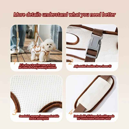 Dog walking harness with features highlighted on a beige background