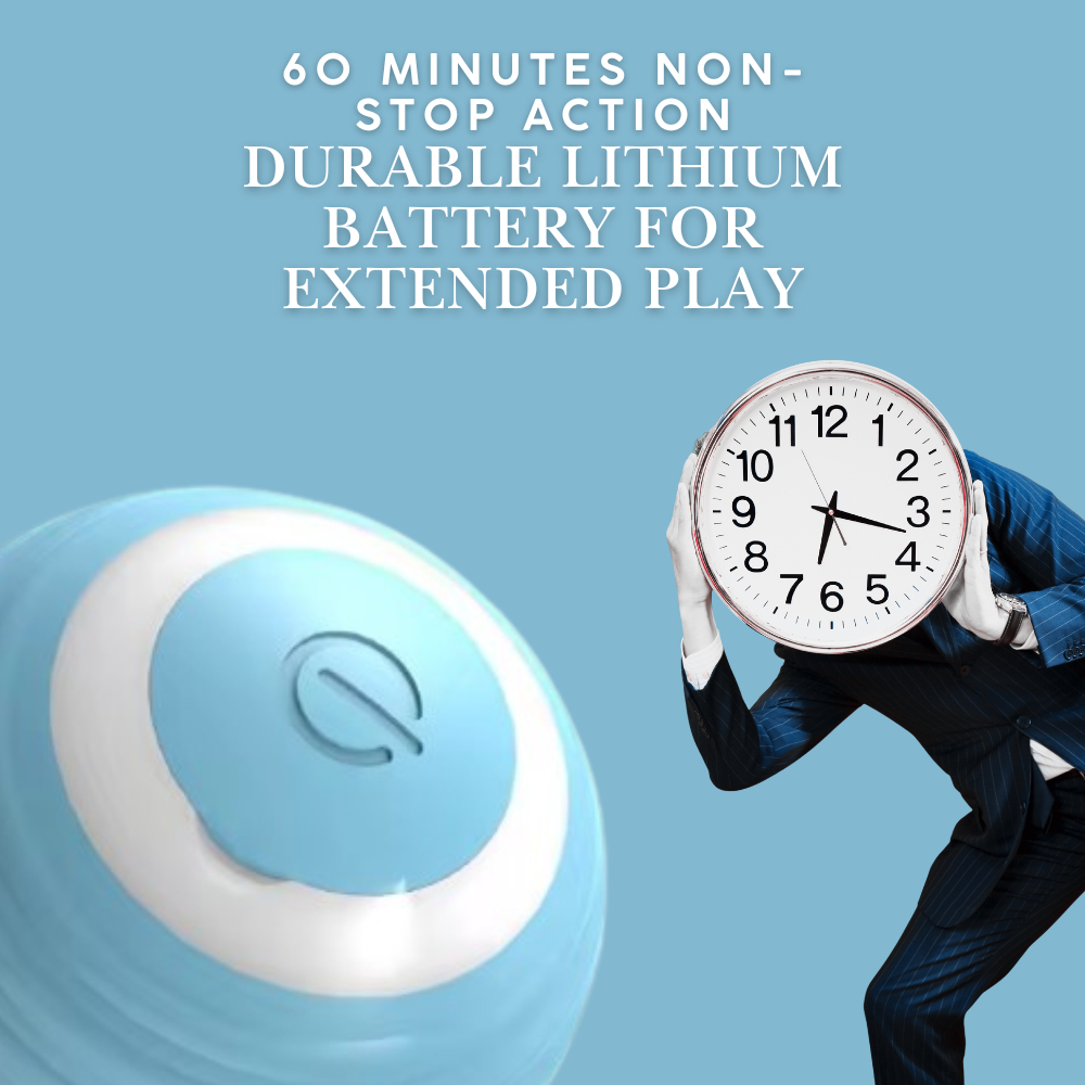 SmartPaw Ball™ - Playtime Anytime, Anywhere