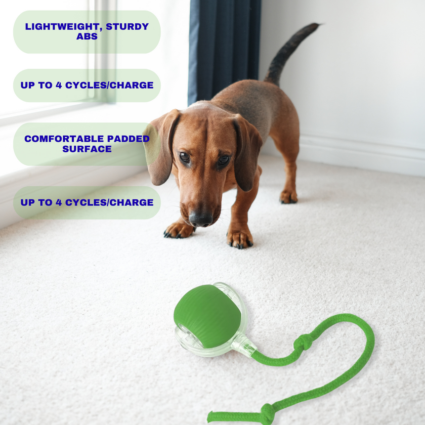 SmartPaw Ball™ - Playtime Anytime, Anywhere