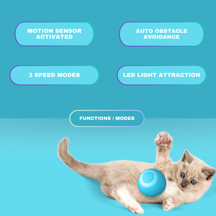 SmartPaw Ball™ - Playtime Anytime, Anywhere
