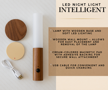 LED Night Light Intelligent