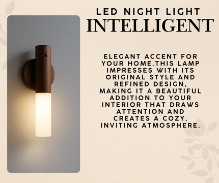 LED Night Light Intelligent