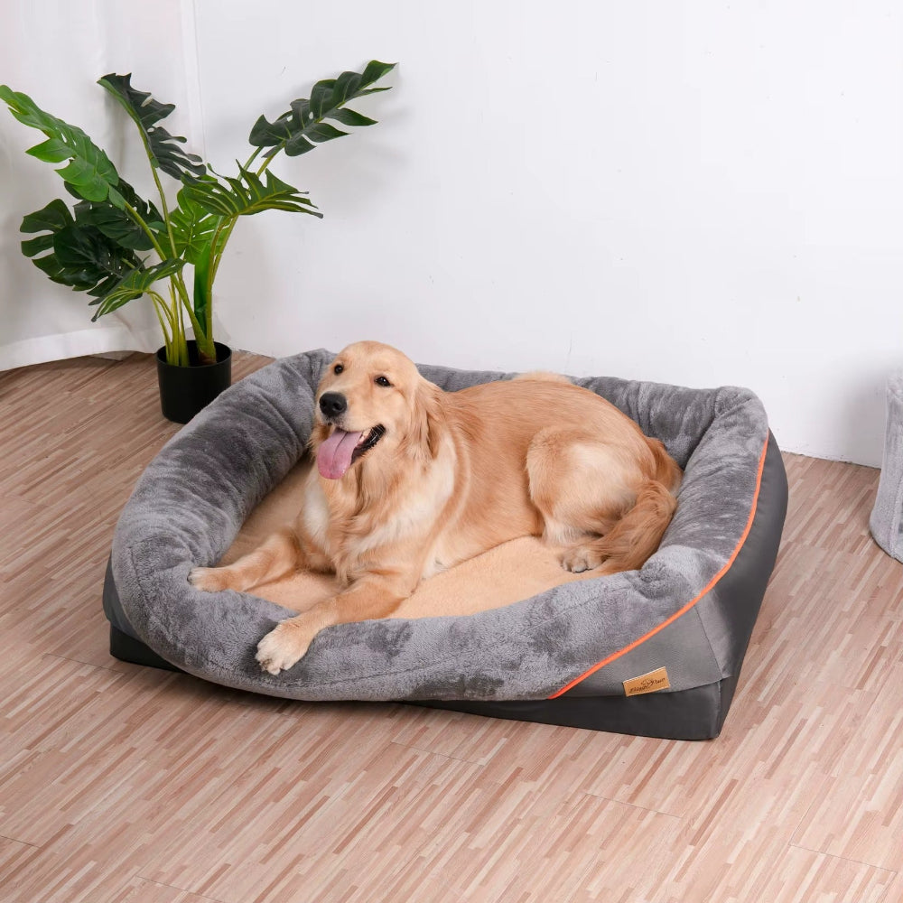 Dog lying on a gray pet bed with a plant in the background