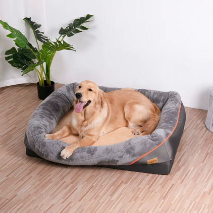 Dog lying on a gray pet bed with a plant in the background