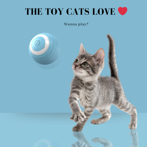 SmartPaw Ball™ - Playtime Anytime, Anywhere