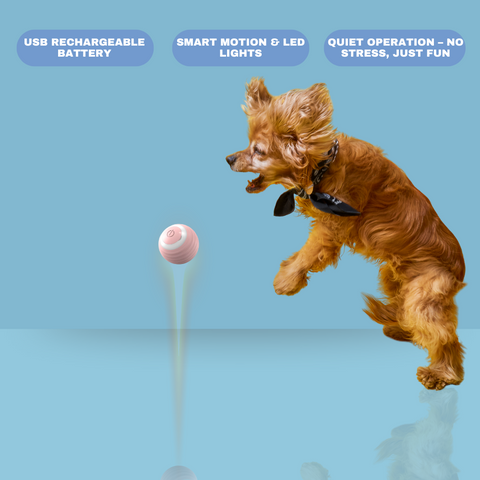 SmartPaw Ball™ - Playtime Anytime, Anywhere