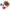 Evergreen Christmas Pine & Berries Bundle