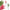 Evergreen Christmas Pine & Berries Bundle