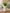 Soft wave vase