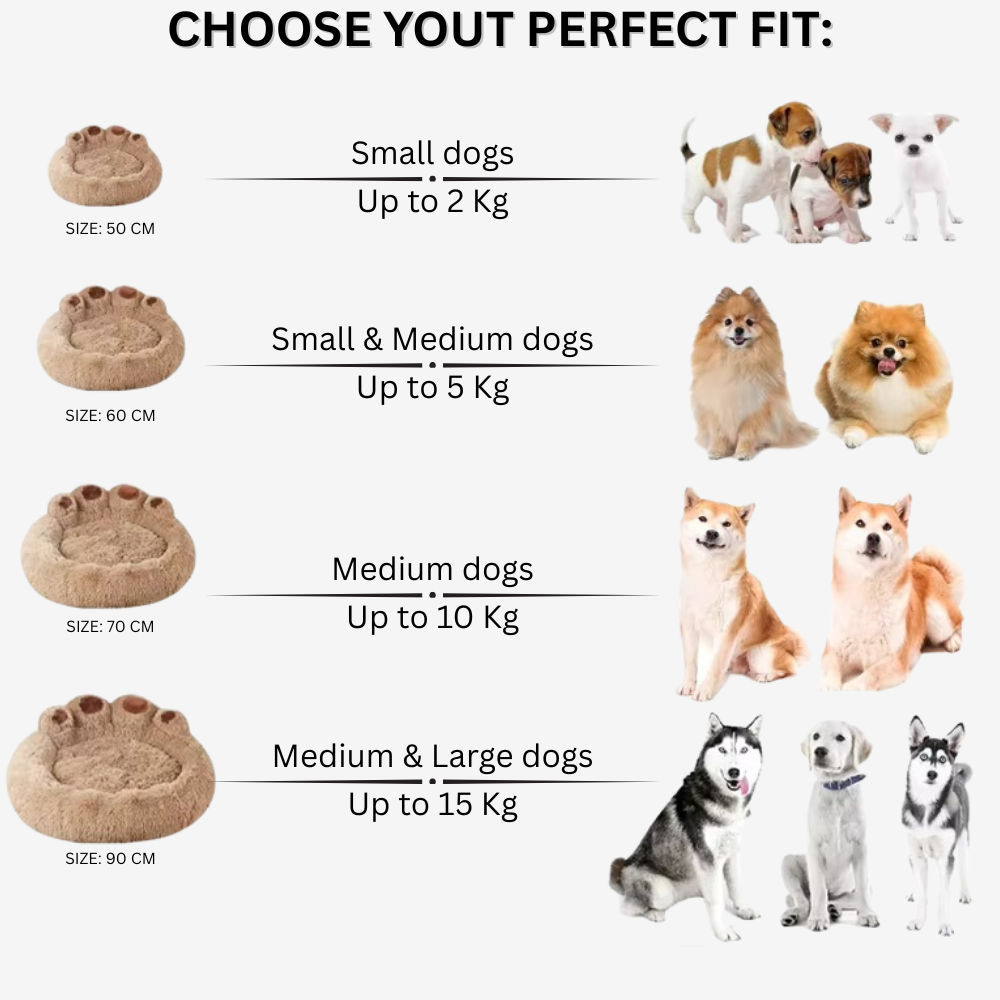 PawCloud™ – Sleep on a fluffy dream